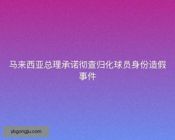 马来西亚总理承诺彻查归化球员身份造假事件 马来西亚总理承诺彻查归化球员身份造假事件
